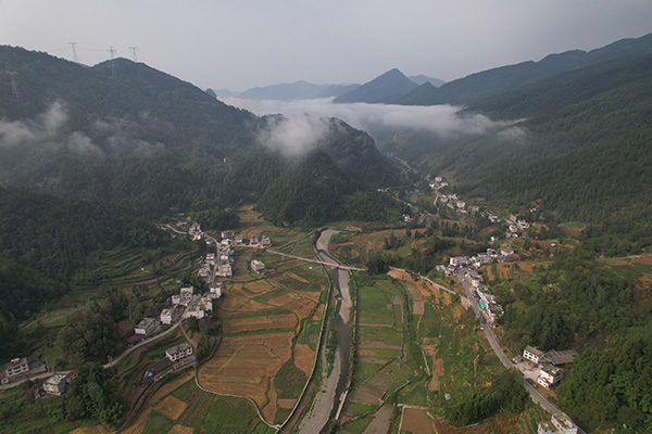 渝见希望 | 邮储银行重庆分行：扎根沃土 铺就和美乡村致富路